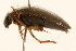  ( - 09BBCOL-0583)  @14 [ ] CreativeCommons - Attribution (2009) Unspecified Centre for Biodiversity Genomics