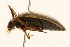  ( - 09BBCOL-0584)  @14 [ ] CreativeCommons - Attribution (2009) Unspecified Centre for Biodiversity Genomics