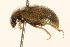  ( - 09BBCOL-0586)  @13 [ ] CreativeCommons - Attribution (2009) Unspecified Centre for Biodiversity Genomics