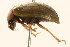  ( - 09BBCOL-0587)  @13 [ ] CreativeCommons - Attribution (2009) Unspecified Centre for Biodiversity Genomics