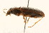  ( - 09BBCOL-0627)  @13 [ ] CreativeCommons - Attribution (2009) Unspecified Centre for Biodiversity Genomics