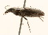  ( - 09BBCOL-0652)  @13 [ ] CreativeCommons - Attribution (2009) Unspecified Centre for Biodiversity Genomics