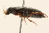  ( - 09BBCOL-0679)  @14 [ ] CreativeCommons - Attribution (2009) Unspecified Centre for Biodiversity Genomics