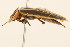  ( - 09BBCOL-0688)  @12 [ ] CreativeCommons - Attribution (2009) Unspecified Centre for Biodiversity Genomics