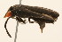  ( - 09BBCOL-0701)  @13 [ ] CreativeCommons - Attribution (2009) Unspecified Centre for Biodiversity Genomics