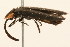  ( - 09BBCOL-0702)  @13 [ ] CreativeCommons - Attribution (2009) Unspecified Centre for Biodiversity Genomics