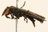  ( - 09BBCOL-0704)  @14 [ ] CreativeCommons - Attribution (2009) Unspecified Centre for Biodiversity Genomics