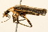  ( - 09BBCOL-0709)  @13 [ ] CreativeCommons - Attribution (2009) Unspecified Centre for Biodiversity Genomics