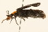 ( - 09BBCOL-0727)  @13 [ ] CreativeCommons - Attribution (2009) Unspecified Centre for Biodiversity Genomics