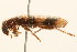  ( - 09BBCOL-0738)  @13 [ ] CreativeCommons - Attribution (2009) Unspecified Centre for Biodiversity Genomics