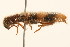  ( - 09BBCOL-0739)  @13 [ ] CreativeCommons - Attribution (2009) Unspecified Centre for Biodiversity Genomics