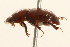  ( - 09BBCOL-0758)  @13 [ ] CreativeCommons - Attribution (2009) Unspecified Centre for Biodiversity Genomics
