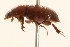  ( - 09BBCOL-0759)  @13 [ ] CreativeCommons - Attribution (2009) Unspecified Centre for Biodiversity Genomics