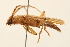  ( - 09BBCOL-0125)  @13 [ ] CreativeCommons - Attribution (2009) Unspecified Centre for Biodiversity Genomics