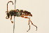  ( - 09BBCOL-0130)  @12 [ ] CreativeCommons - Attribution (2009) Unspecified Centre for Biodiversity Genomics