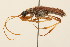  ( - 09BBCOL-0137)  @13 [ ] CreativeCommons - Attribution (2009) Unspecified Centre for Biodiversity Genomics