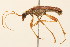  ( - 09BBCOL-0138)  @13 [ ] CreativeCommons - Attribution (2009) Unspecified Centre for Biodiversity Genomics