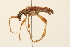  ( - 09BBCOL-0139)  @13 [ ] CreativeCommons - Attribution (2009) Unspecified Centre for Biodiversity Genomics
