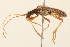  ( - 09BBCOL-0140)  @13 [ ] CreativeCommons - Attribution (2009) Unspecified Centre for Biodiversity Genomics