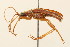  ( - 09BBCOL-0141)  @13 [ ] CreativeCommons - Attribution (2009) Unspecified Centre for Biodiversity Genomics