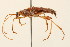  ( - 09BBCOL-0142)  @13 [ ] CreativeCommons - Attribution (2009) Unspecified Centre for Biodiversity Genomics