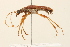  ( - 09BBCOL-0144)  @13 [ ] CreativeCommons - Attribution (2009) Unspecified Centre for Biodiversity Genomics
