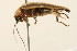  ( - 09BBCOL-0157)  @13 [ ] CreativeCommons - Attribution (2009) Unspecified Centre for Biodiversity Genomics