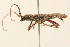 ( - 09BBCOL-0161)  @13 [ ] CreativeCommons - Attribution (2009) Unspecified Centre for Biodiversity Genomics