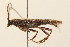  ( - 09BBCOL-0164)  @13 [ ] CreativeCommons - Attribution (2009) Unspecified Centre for Biodiversity Genomics