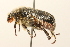  ( - 09BBCOL-0837)  @13 [ ] CreativeCommons - Attribution (2009) Unspecified Centre for Biodiversity Genomics