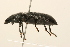  ( - 09BBCOL-0891)  @14 [ ] CreativeCommons - Attribution (2009) Unspecified Centre for Biodiversity Genomics
