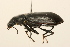  ( - 09BBCOL-0893)  @13 [ ] CreativeCommons - Attribution (2009) Unspecified Centre for Biodiversity Genomics