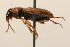  ( - 09BBCOL-0976)  @12 [ ] CreativeCommons - Attribution (2009) Unspecified Centre for Biodiversity Genomics