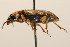  ( - 09BBCOL-0977)  @13 [ ] CreativeCommons - Attribution (2009) Unspecified Centre for Biodiversity Genomics