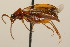  ( - 09BBCOL-0994)  @14 [ ] CreativeCommons - Attribution (2009) Unspecified Centre for Biodiversity Genomics