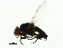  ( - 09BBDIP-0393)  @13 [ ] CreativeCommons - Attribution (2009) Unspecified Centre for Biodiversity Genomics