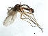  ( - 09BBDIP-0569)  @13 [ ] CreativeCommons - Attribution (2009) Unspecified Centre for Biodiversity Genomics