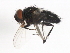  ( - 09BBDIP-0670)  @12 [ ] CreativeCommons - Attribution (2009) Unspecified Centre for Biodiversity Genomics