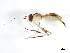  ( - 09BBDIP-0871)  @14 [ ] CreativeCommons - Attribution (2009) Unspecified Centre for Biodiversity Genomics