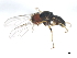  ( - 09BBDIP-0879)  @13 [ ] CreativeCommons - Attribution (2009) Unspecified Centre for Biodiversity Genomics