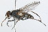  ( - 09BBDIP-0001)  @14 [ ] CreativeCommons - Attribution (2009) Unspecified Centre for Biodiversity Genomics