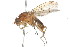  ( - 09BBDIP-0008)  @14 [ ] CreativeCommons - Attribution (2009) Unspecified Centre for Biodiversity Genomics