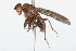  ( - 09BBDIP-0013)  @13 [ ] CreativeCommons - Attribution (2009) Unspecified Centre for Biodiversity Genomics