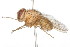  ( - 09BBDIP-0041)  @14 [ ] CreativeCommons - Attribution (2009) Unspecified Centre for Biodiversity Genomics