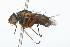  ( - 09BBDIP-0089)  @14 [ ] CreativeCommons - Attribution (2009) Unspecified Centre for Biodiversity Genomics