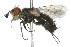  ( - 09BBDIP-0102)  @12 [ ] CreativeCommons - Attribution (2009) Unspecified Centre for Biodiversity Genomics