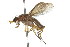  ( - 09BBDIP-0158)  @14 [ ] CreativeCommons - Attribution (2009) Unspecified Centre for Biodiversity Genomics