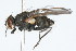  ( - 09BBDIP-0179)  @13 [ ] CreativeCommons - Attribution (2009) Unspecified Centre for Biodiversity Genomics