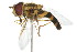  ( - 09BBDIP-0307)  @13 [ ] CreativeCommons - Attribution (2009) Unspecified Centre for Biodiversity Genomics