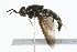  ( - 09BBDIP-0376)  @14 [ ] CreativeCommons - Attribution (2009) Unspecified Centre for Biodiversity Genomics